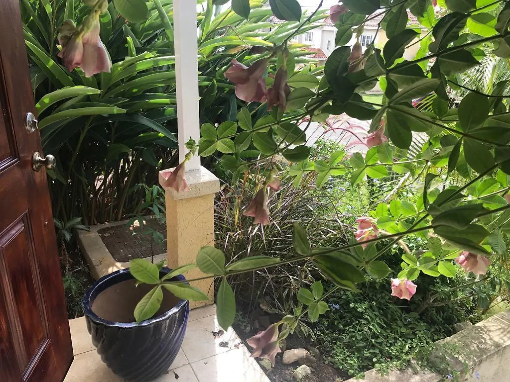 מונטגו ביי Mango Walk Country Club Suites